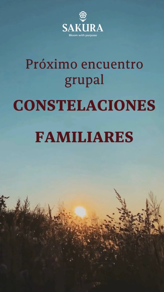 A veces el problema no es lo que estás viviendo hoy, sino el patrón que se repite una y otra vez.
Si sientes que vuelves a las mismas relaciones, cargas con emociones que no entiendes o hay situaciones que parecen no avanzar, las Constelaciones Familiares pueden ayudarte a mirar desde una nueva perspectiva.
🌿 Te invito a vivir una experiencia profunda de autoconocimiento y transformación.
📅 1 de agosto
📍 Bogotá
⏰ Cupos limitados
Regálate un espacio para comprender, soltar y abrirte a nuevas posibilidades.
✨ Reserva tu lugar por mensaje directo o escríbeme al WhatsApp.